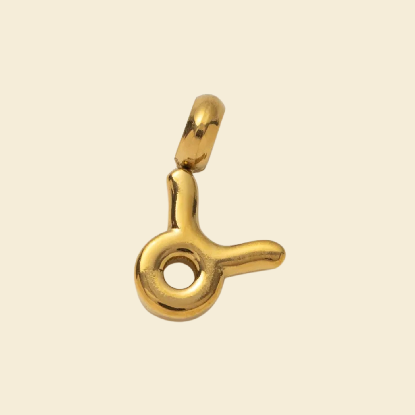 Zodiac Charms