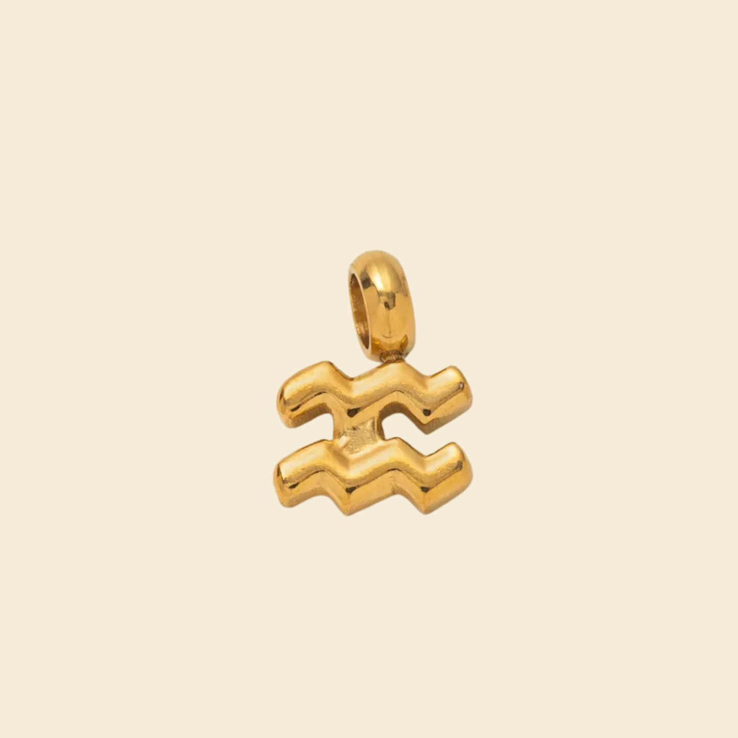 Zodiac Charms