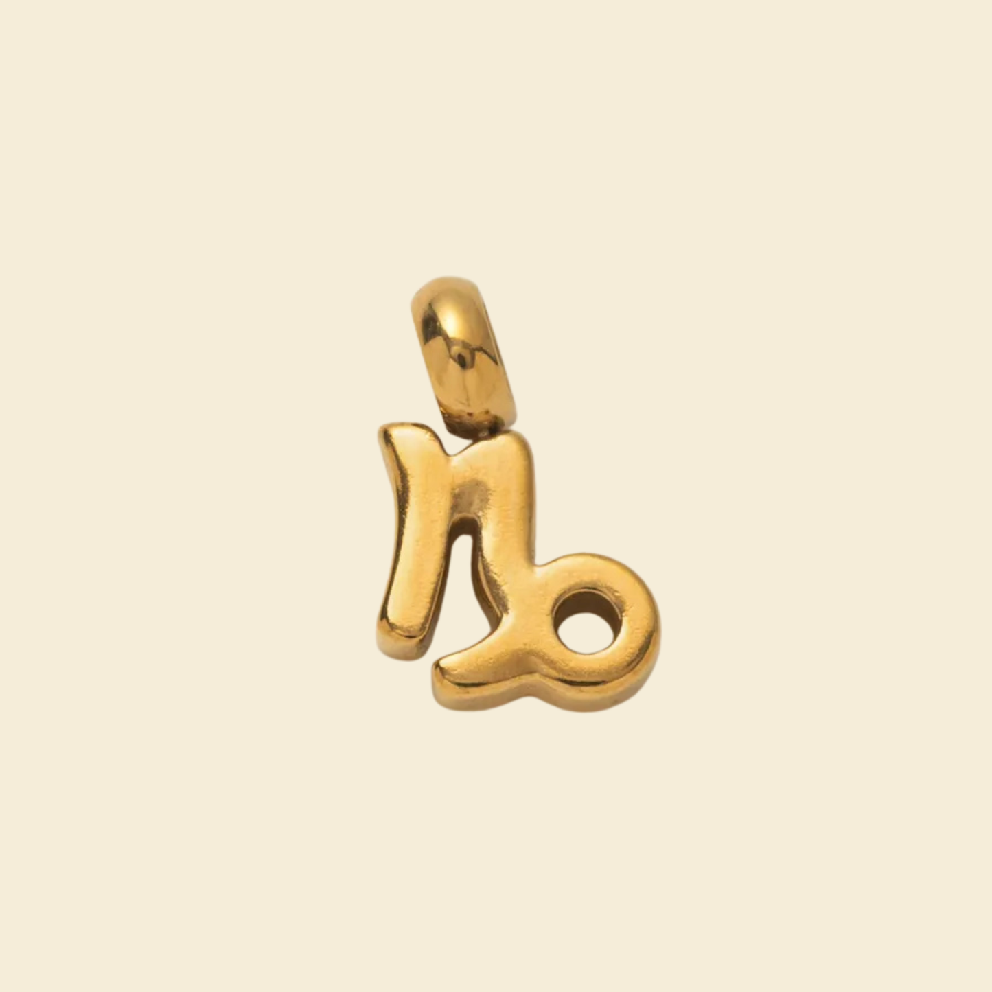 Zodiac Charms