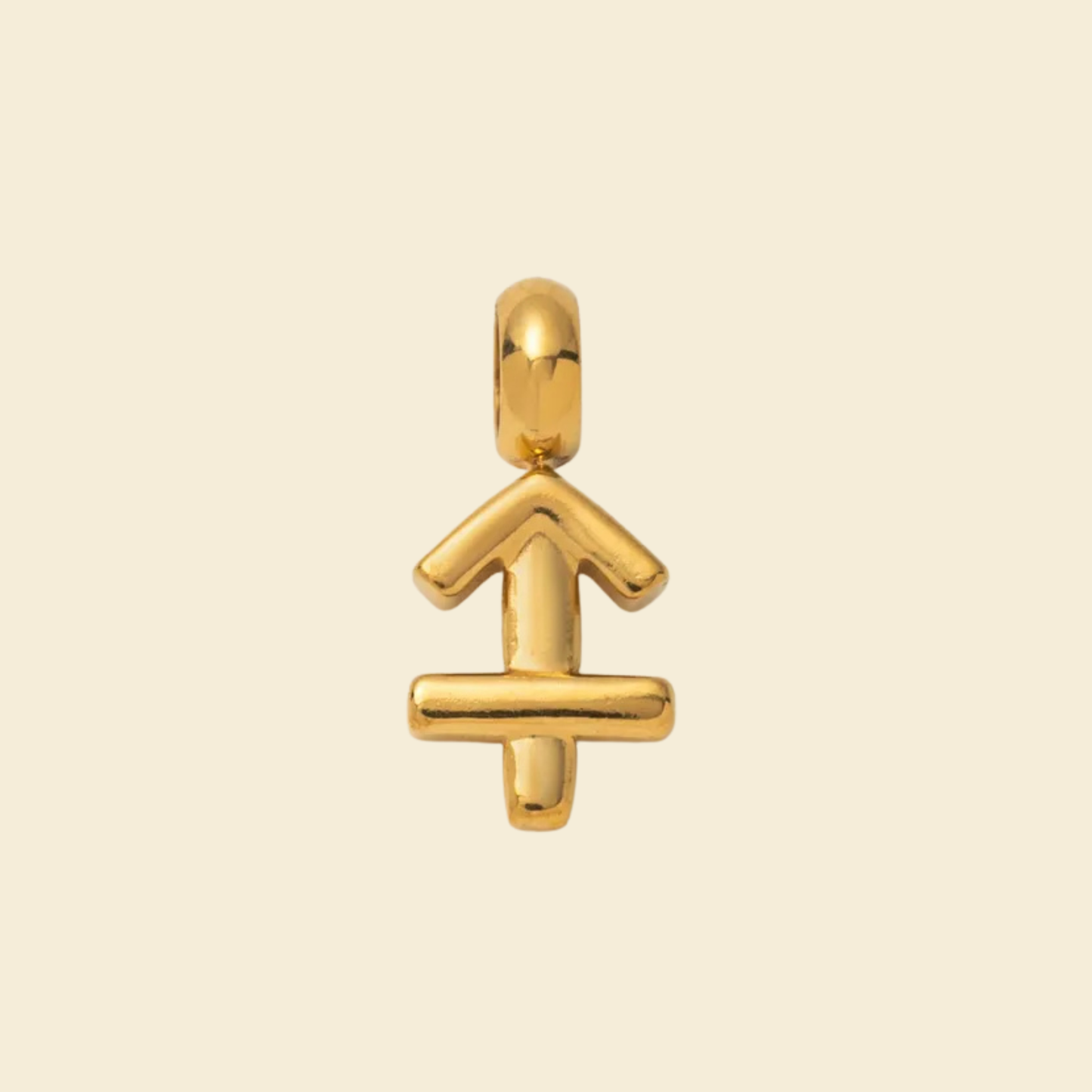 Zodiac Charms