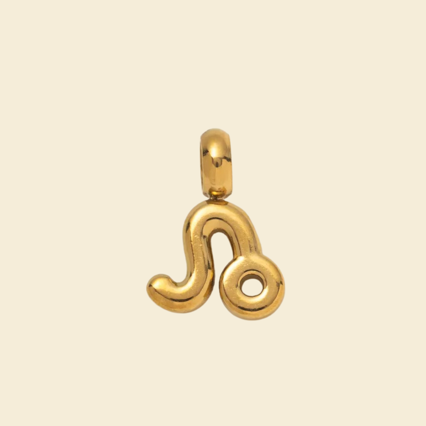 Zodiac Charms