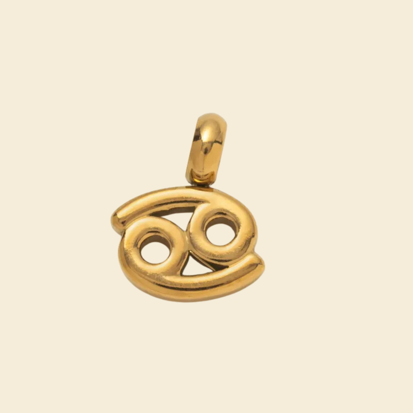Zodiac Charms